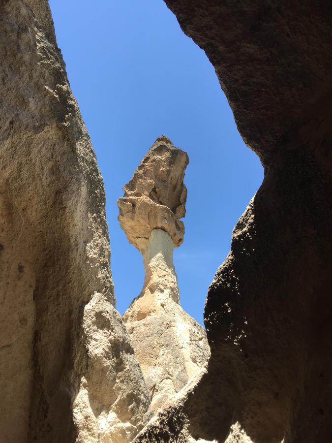 לינה וארוחת בוקר גורמה Cappadocian Special House (Adults Only) מראה חיצוני תמונה